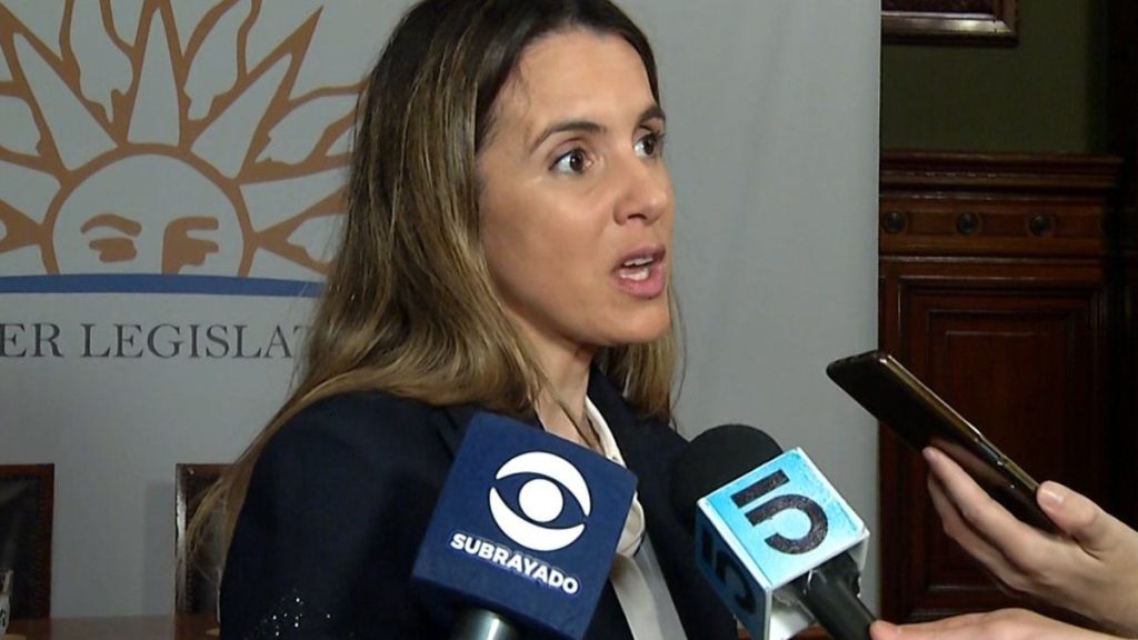 ache-venia-embajadora-1