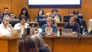 cristina-lustemberg-en-comision-presupuesto