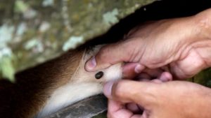 devolucion-contenedores