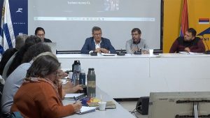 informe-diaz-mesa-politica-frente-amplio-cardama-eurocommerce