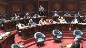 senado-vota-pension-alzamendi