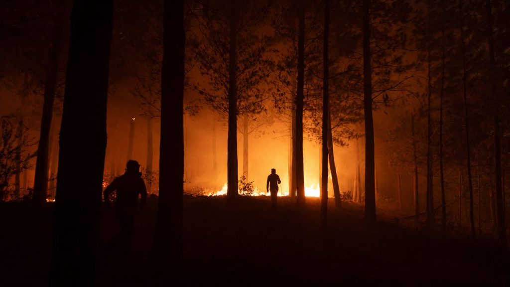 afp-incendios-en-chile-sur-incendio-forestal