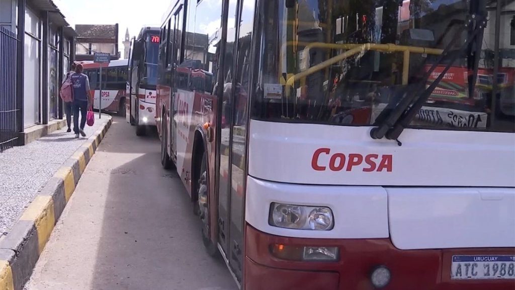 copsa-paro