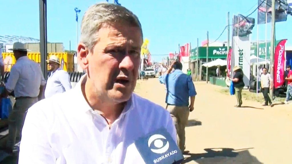 novedad-cardama